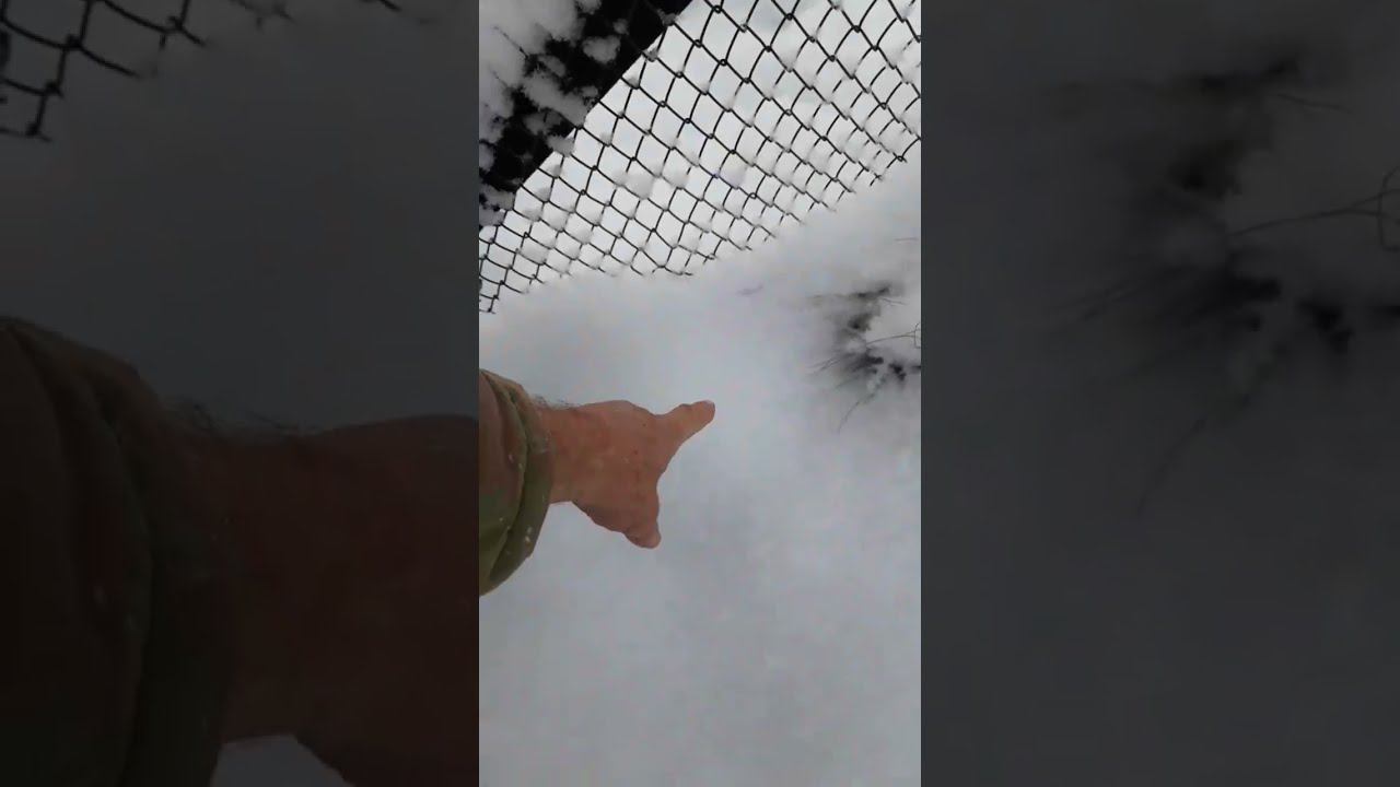 жизнь зимой на даче