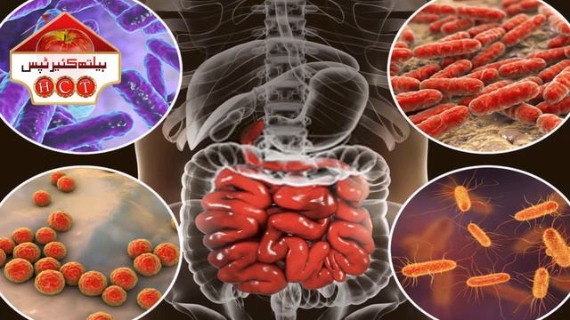 Doodh Mein Shahad Mila Kar Peene Ke Fayde l Doodh Aur Shahad Ke Fayde l Healthcare Tips