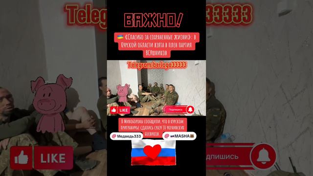 Украинские военнопленные Курская область