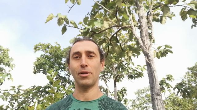 Сыроедная кулинария - есть или не есть?