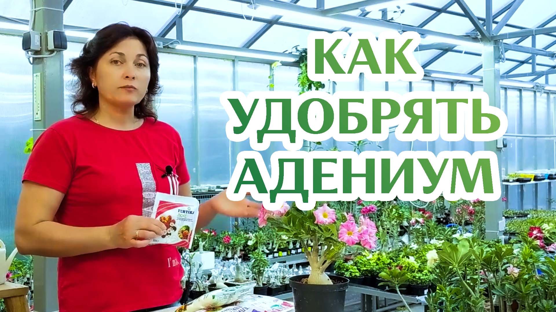 Как Удобрять Адениум