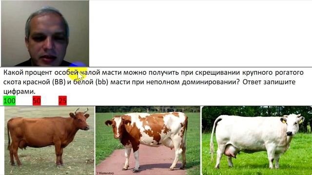 Видео-объяснение для Биоробота
