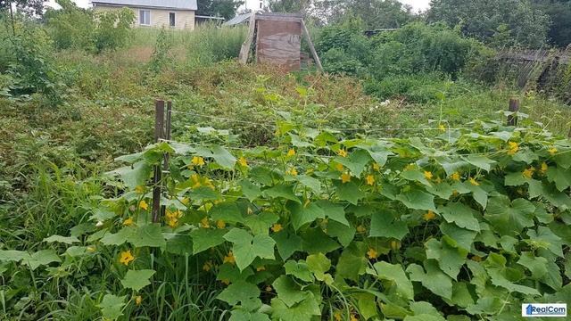 Продам частный дом в черте города