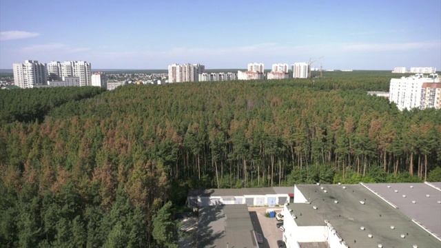 20 июня отмечается 35 лет создания экологической службы города Воронежа