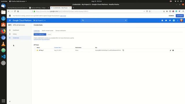 how to use google map api in javascript