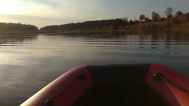 Sea Pro F5S непонятный шум