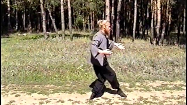 Таолу Чэнь в стиле Ветер-Гром
