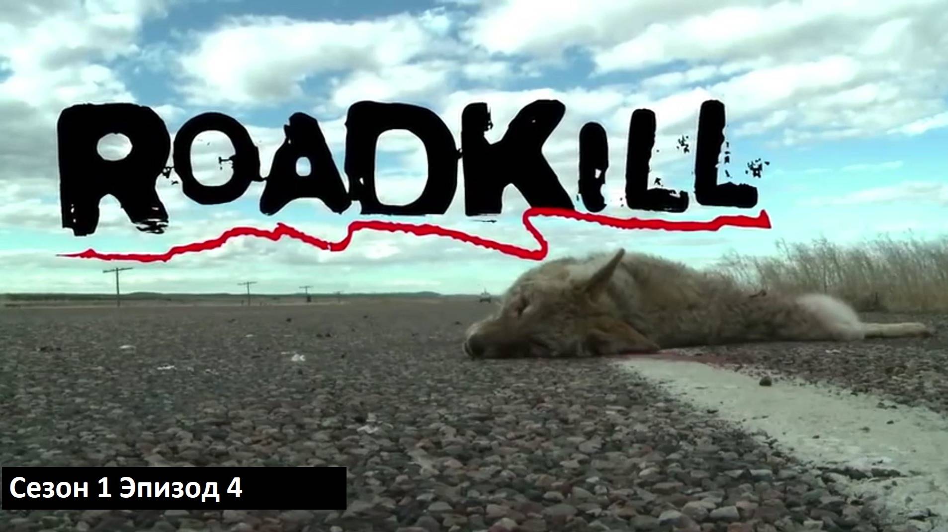 [机翻]ROADKILL路杀系列1-82期更新完毕 Roadkill Episode 4