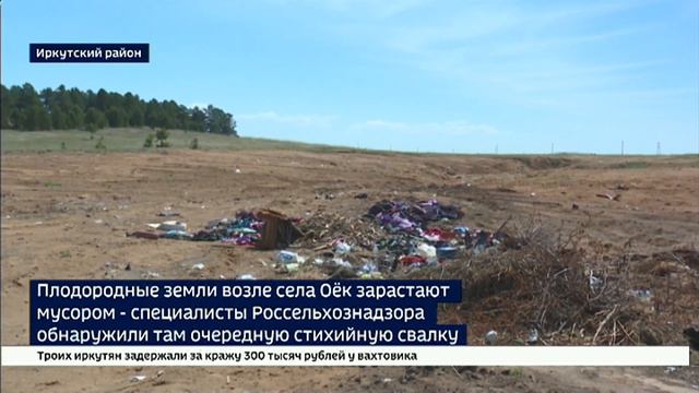 Вместо пшеницы — мусор. Свалка образовалась на землях сельхозназначения возле села Оек в Иркутском р