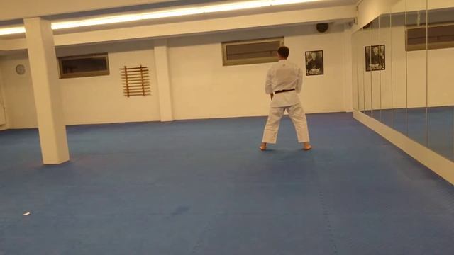 Karate Kata "Kaminari" (Fudokan)