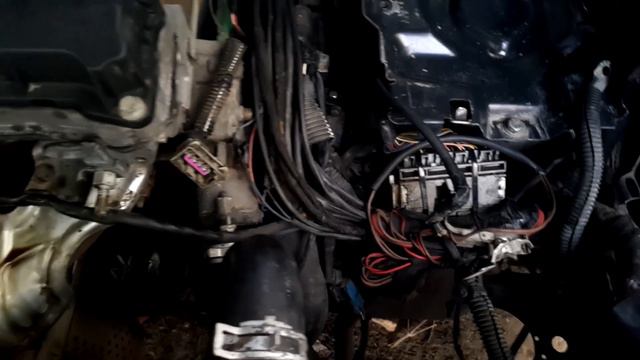 "YENİ SERİ Video 3 " Sel Hasarlı Peugeot 307 AL4 Otomatik, Motorun Yıkanması ve Yağın Boşaltılması