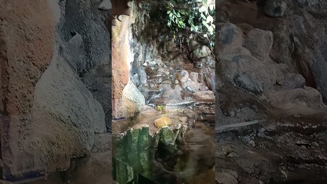 Забавные выдры в Питерском океанариуме