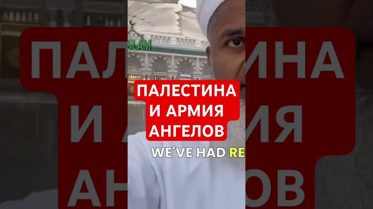 Палестина Армия Ангелов, а израиль в проигрыше влюблю раскладе