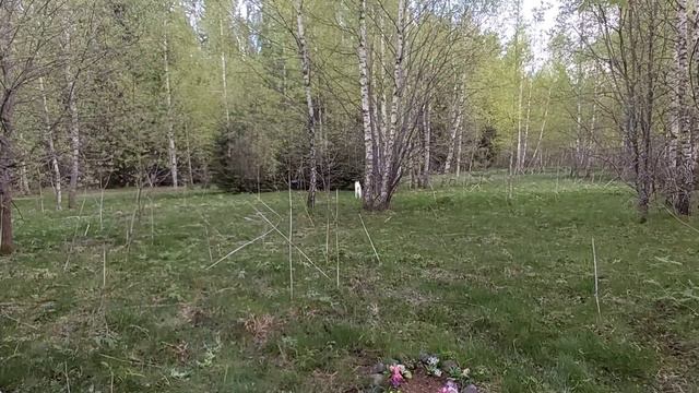 Три года как один день