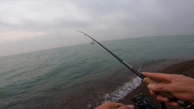 ВОТ ЭТО РЫБАЛКА !!! КАЖДЫЙ ЗАБРОС- СУДАК !!! РЫБАЛКА на СУДАКА с БЕРЕГА 2023 г .08 . 11 .