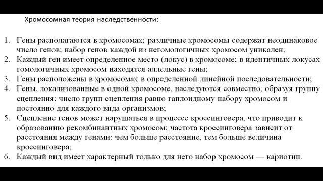Занятие 7. Генетика под силу каждому. Сцепленное наследование. Хромосомная теория наследственности.