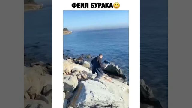 Забавные Видео