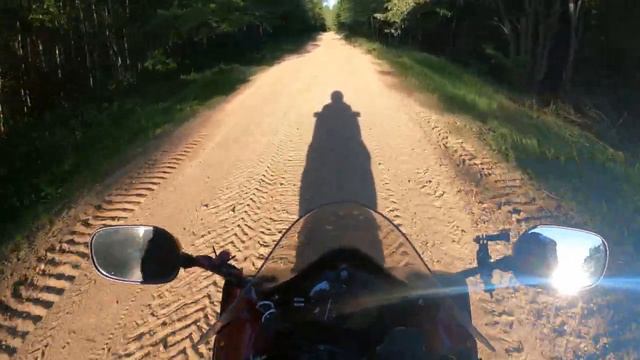 Неожиданное мотопутешествие в Центрально-Лесной заповедник. Часть 1.