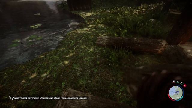 On test SONS OF THE FOREST avec Jessy
