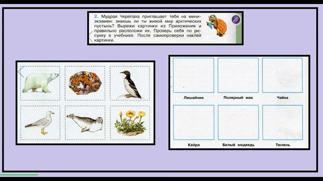 Зона арктических пустынь задание 2. Окружающий мир 4 класс рабочая тетрадь. Жители Арктики.