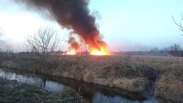 очередной пожар в поле..