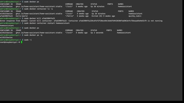 Configure the NUT to manage a UPS through the Home Assistant as a Docker container on a Raspberry P
