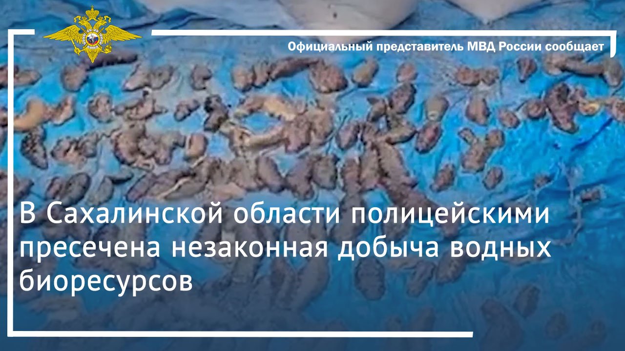 В Сахалинской области полицейскими пресечена незаконная добыча водных биоресурсов