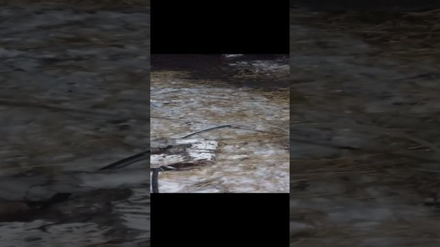 Прокачка скважины в Нетесово