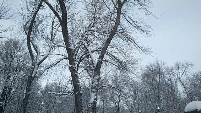 И вновь Зима, и снова Здрасьте!.mp4
