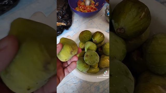 Инжир грушевидный