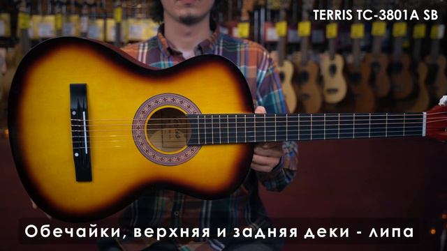 Обзор классической гитары TERRIS TC-3801A SB