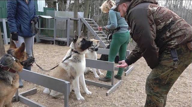 ДТ-63. Чужой среди своих.