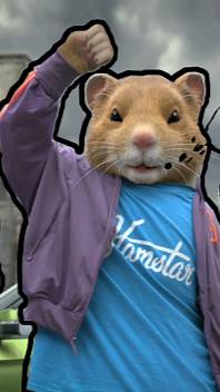 НОВЫЙ ШИФР 3 АВГУСТА В ХАМСТЕР КОМБАТ!!! В HAMSTER KOMBAT