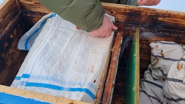 ?При зимовке пчёл на улице появился расплод? Сомневаетесь, хватит ли в улье корма? - Решение есть!?