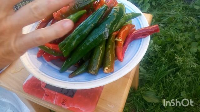 АДЖИКА З ХРОНОМ #Аджика яку люблять чоловіки