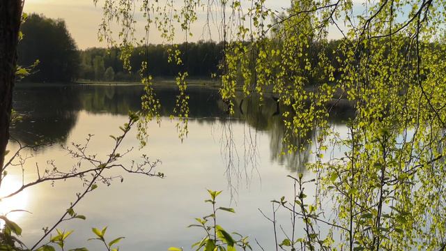 Russian relax / Русская деревня / Сон / Релакс
