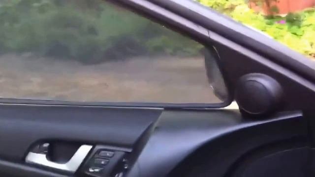 Каркасные автошторки на магнитах Трокот   Honda Accord VIII