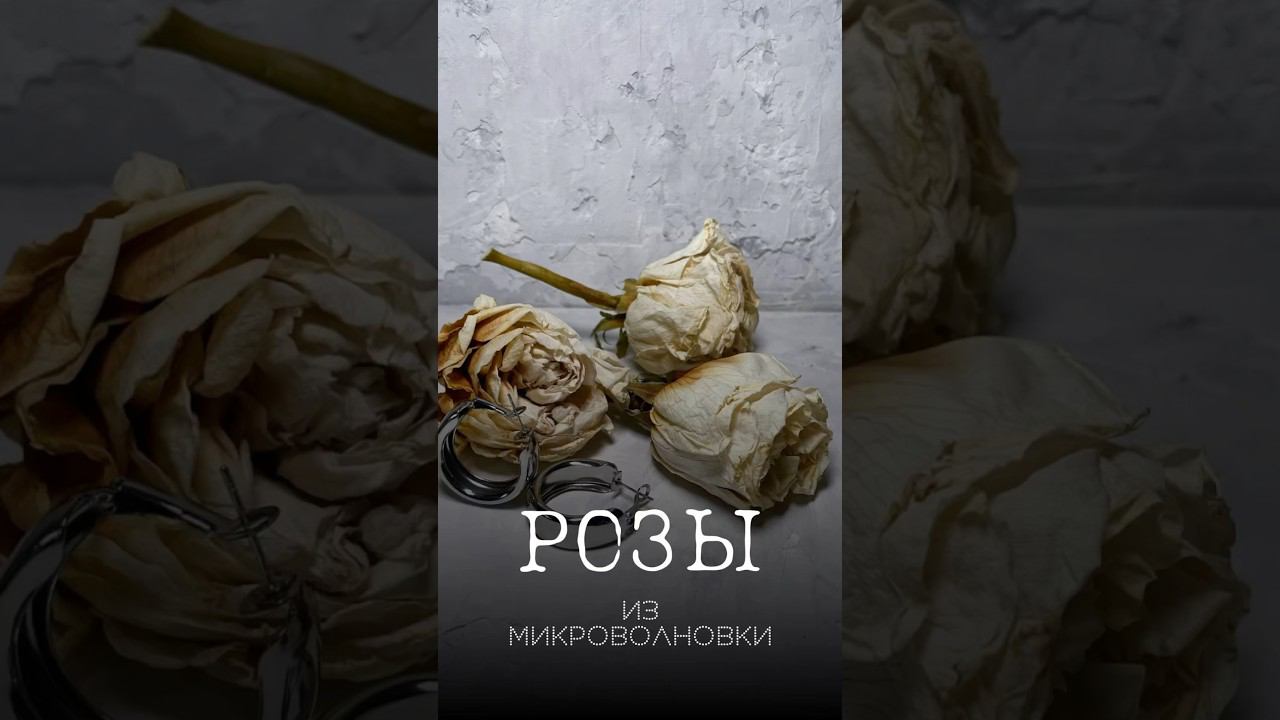 Сушим розы в микроволновке