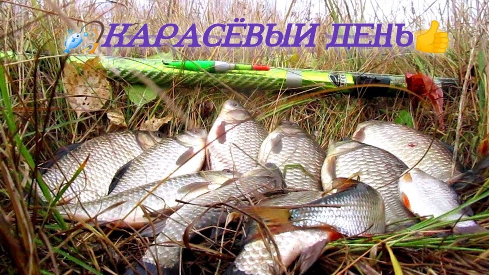ТАК ВОТ КЛЮЮТ И ЛОВЯТСЯ ОКТЯБРЬСКИЕ КАРАСИ!
