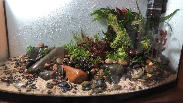 Оформление аквариума AQUAEL 54 литра.