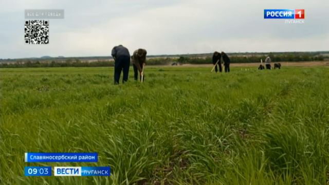 Студенты в Луганске обрабатывают поля под посев