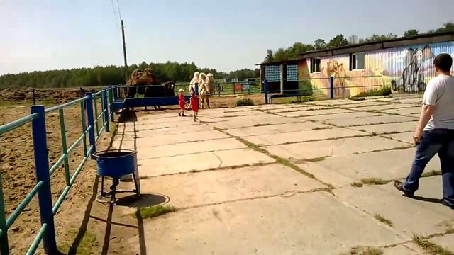 Зоопарк в Горках