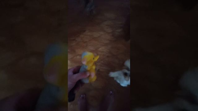 1000021737.mp4