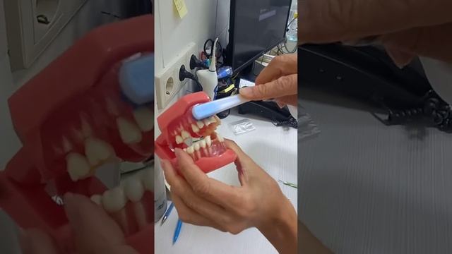 Света рассказывает как чистить зубы