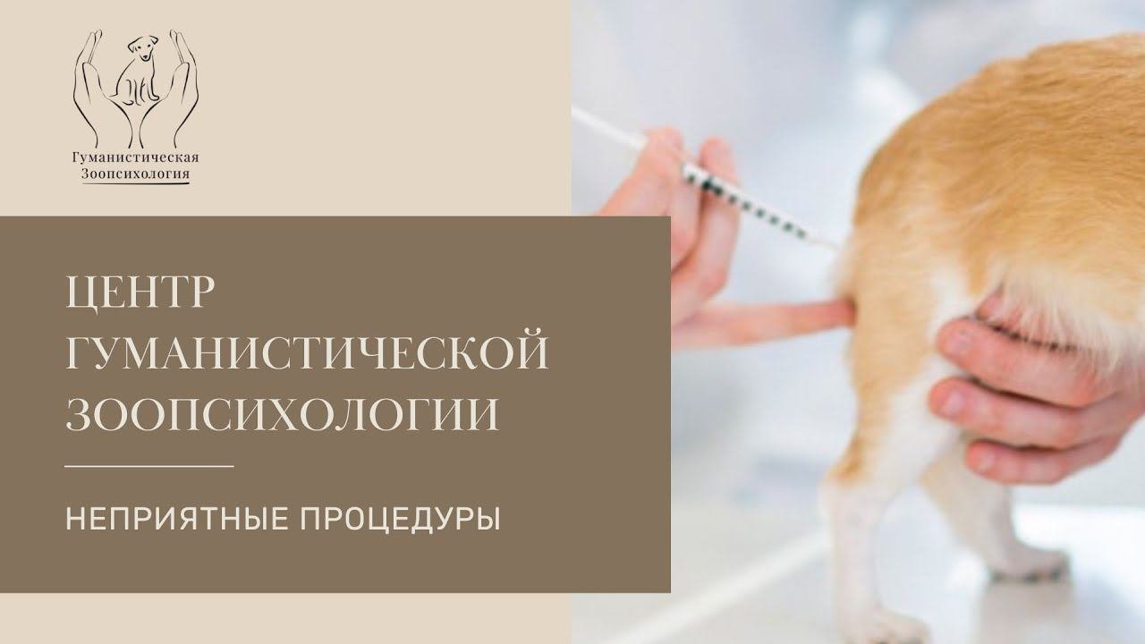 Собака и неприятные процедуры