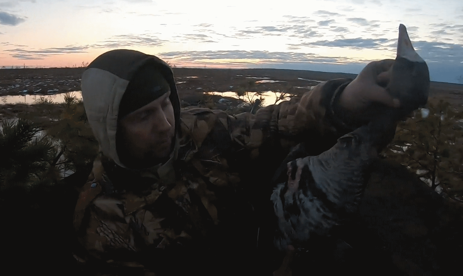 Охота на гуся, 10 дней в тайге, искупался в болоте, "потеряли бойца" goose hunting.