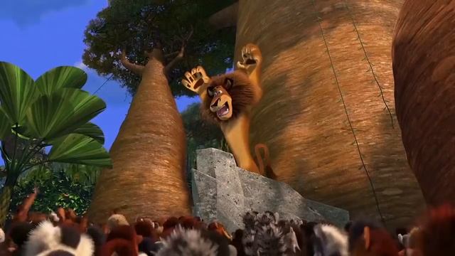 Madagascar: Wild Alex Compilation