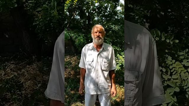 Вещание людям