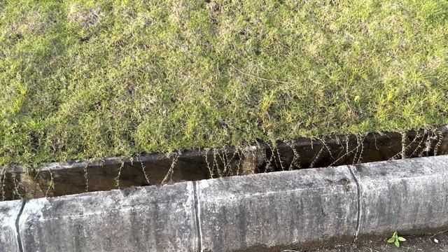 TES VIDEO KAMERA IPHONE 14 PRO   4K 60 Fps
