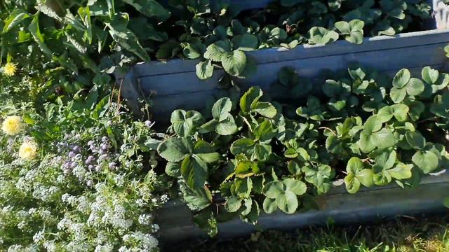 День рождение сына #жизньвгермании #моибудни #влог #готовимдома #обзор